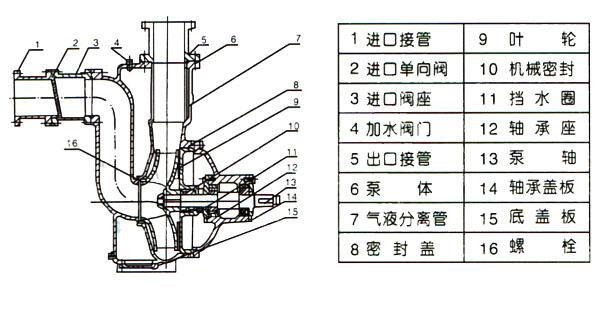 ZW型自吸式无堵塞黄色软件草莓视频（结构图）